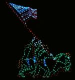 14' IWO Jima Holiday Light Display