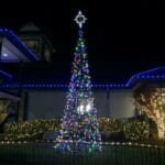 25' LED Tree of Lights