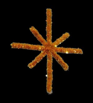 3' Garland Starburst Holiday Light Display