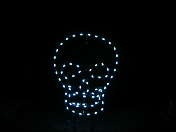 4' Skull Halloween Light Display