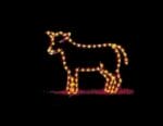 5' Cow Holiday Light Display