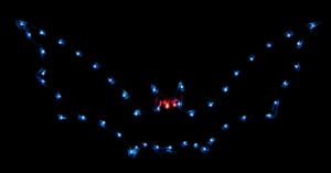 5' Bat Halloween Light Display