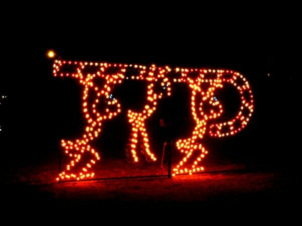 7' Ants With Candy Cane Holiday Light Display