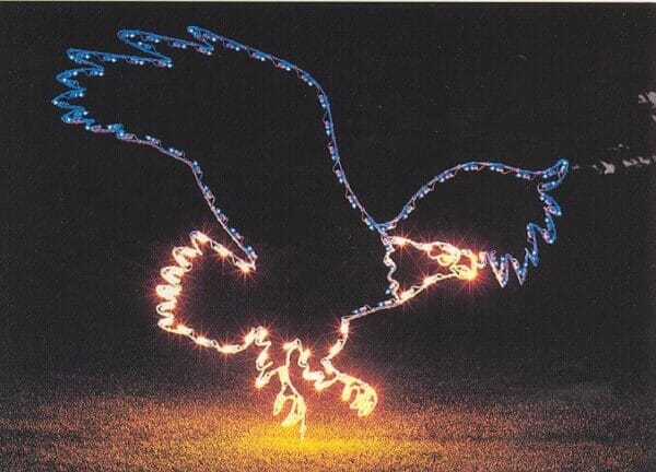 Flying Eagle Holiday Light Display