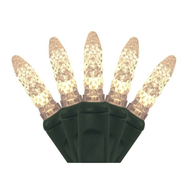 M5 50 Light LED Warm White Christmas Lights