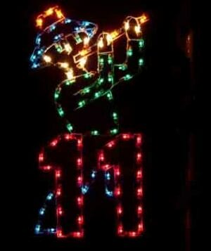5' Twelve Days Of Christmas - Day 11 Holiday Light Display