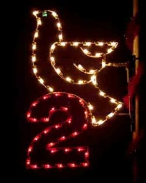 ' Twelve Days Of Christmas - Day 2 Pole Mount Holiday Light Display