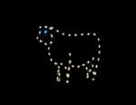 3' Sheep Holiday Light Display