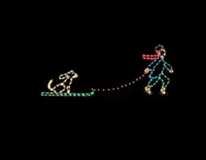 SKATING BOY PULLING DOG