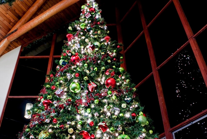 Commercial Giant Panel Tree