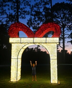 GIFTBOX ARCH