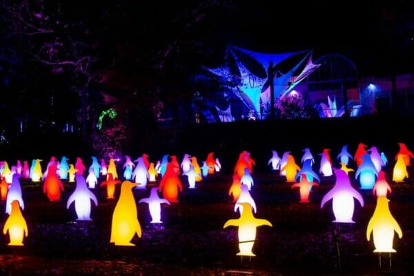 5' Penguin RGB Holiday Light Display