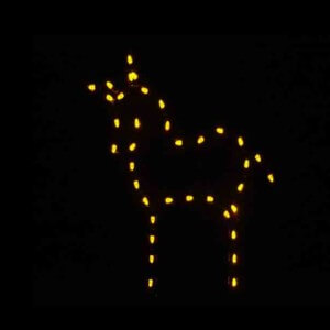 Donkey Holiday Display