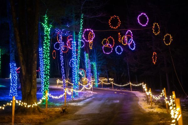 Hanging Holiday Light Displays