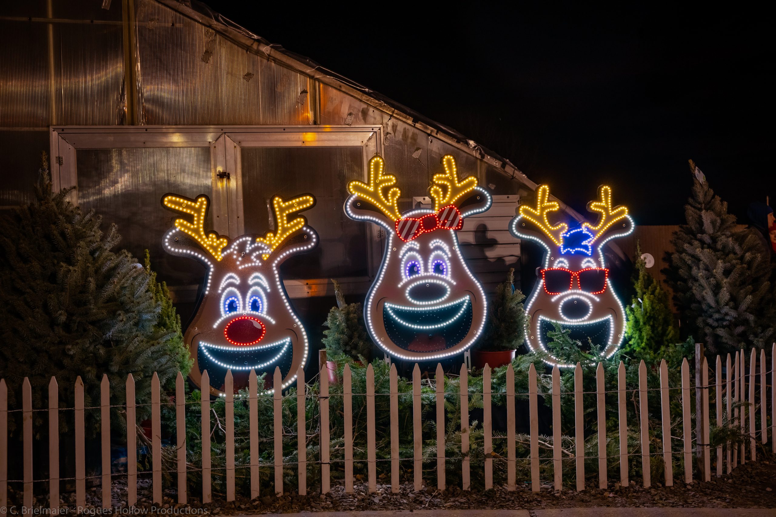 Reindeer Holiday Displays