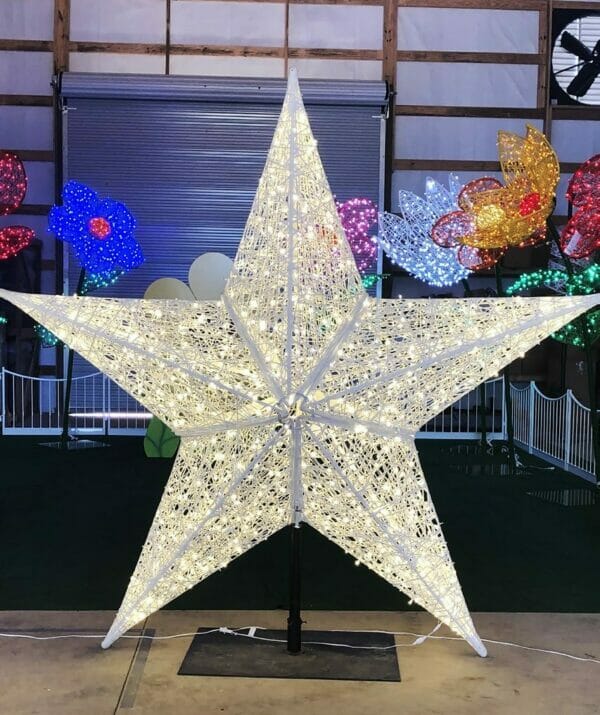 13.75' Hollow Star Dimensional Display