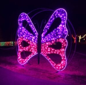 PVC Mesh Butterfly