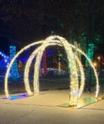 9' Shimmering Walk Through 3 Ring Arch