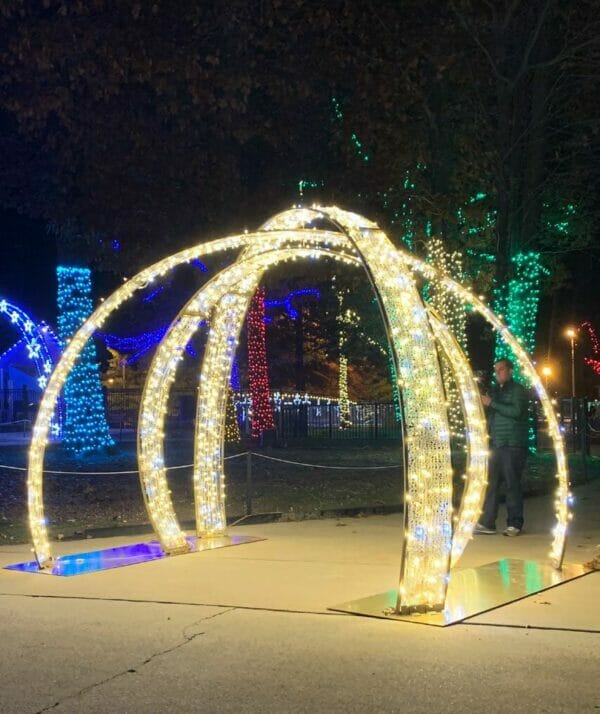 9' Shimmering Walk Through 3 Ring Arch