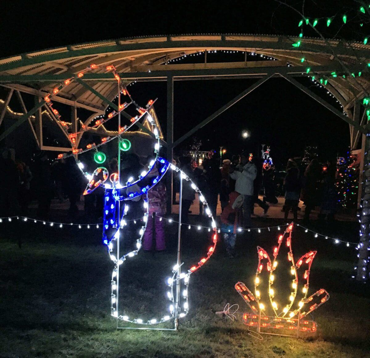 2D Christmas Displays