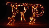 7' Animated Ants Carrying Candy Cane Holiday Light Display