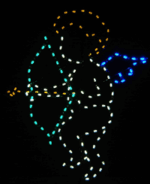 6' Cupid Holiday Light Display