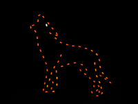 4' Coyote Standing Holiday Light Display