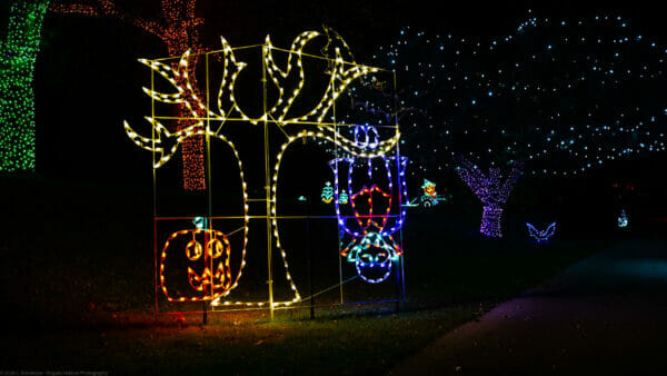 10' Animated Dracula Scene Halloween Light Display