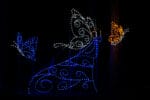 Butterfly Princess Holiday Light Display