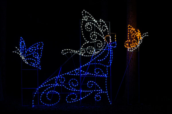 Butterfly Princess Holiday Light Display