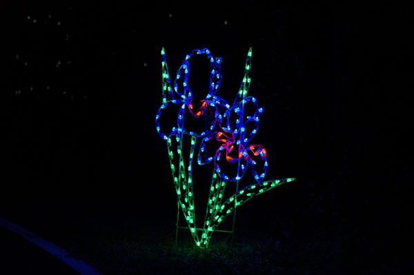 6' Iris Cluster Holiday Light Display