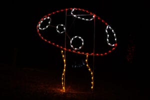 6' Mushroom Holiday Light Display