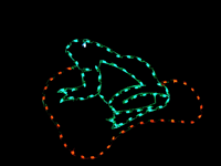 6' Frog On Lily Pad Holiday Light Display