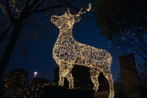 6.5 Foot Grapevine Deer