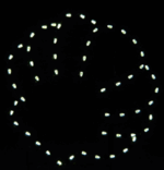 4' Seashell Holiday Light Display