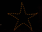 6' Starfish Holiday Light Display