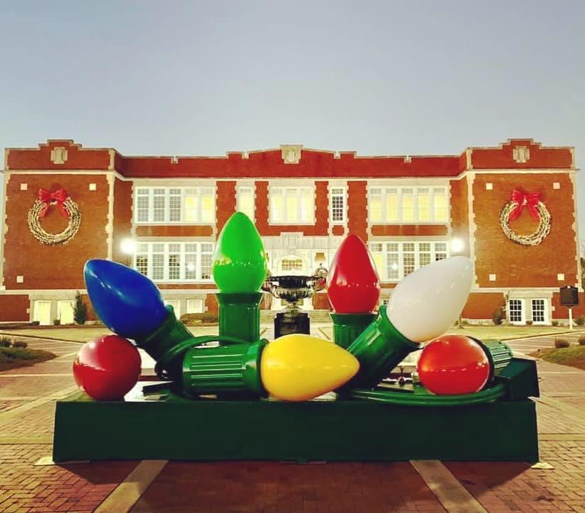 TRANSLUCENT LARGE RGB BULBS