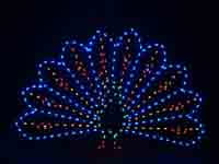 5' Peacock Holiday Light Display