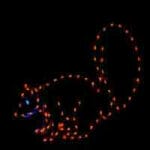 4' Squirrel Holiday Light Display