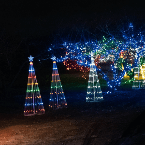 CDI LED LIGHT SHOW TREES