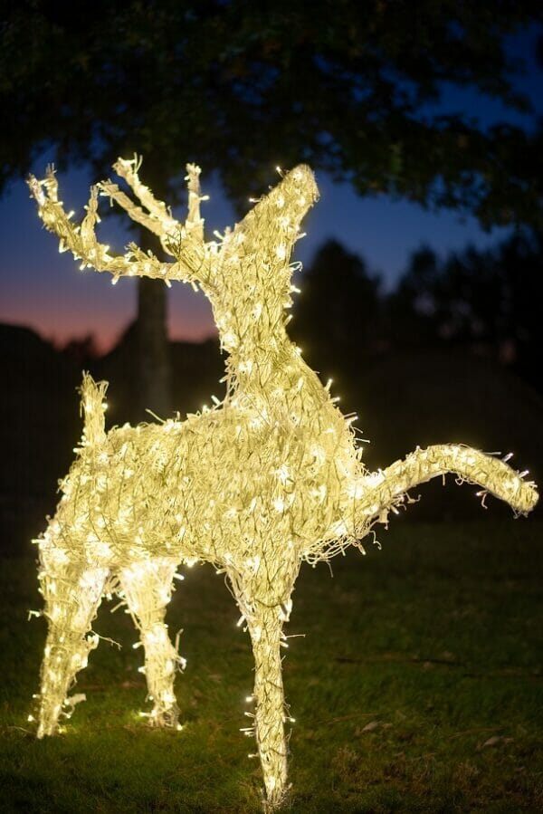 Creative Displays 6.5 Ft Grapevine Deer