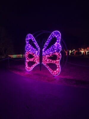 CREATIVE DISPLAYS MESH BUTTERFLY LIGHT DISPLAY