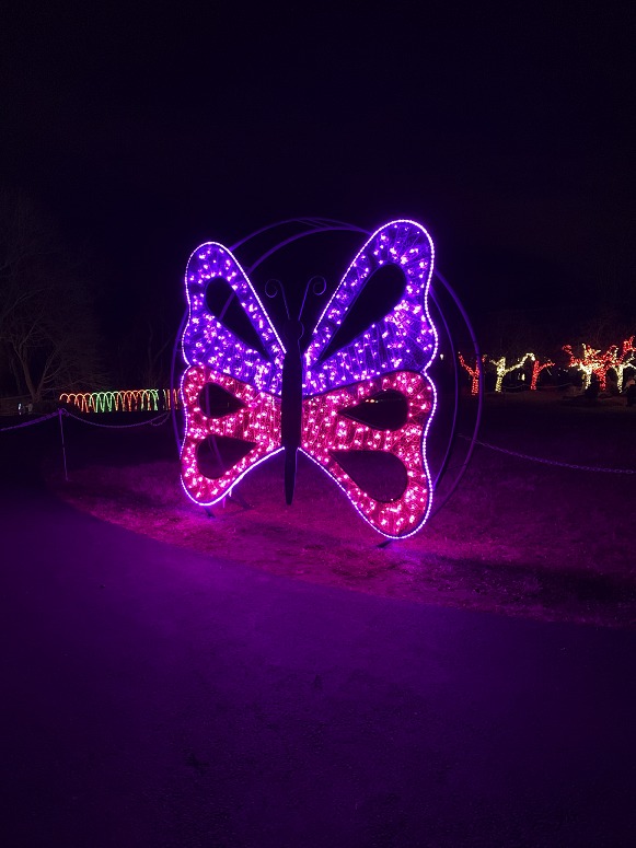 CREATIVE DISPLAYS MESH BUTTERFLY LIGHT DISPLAY