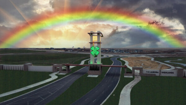 SHAMROCK CUSTOM FABRICATED LIGHT DISPLAY