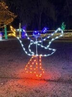 8' Twelve Days Of Christmas - Day 4 Holiday Light Display