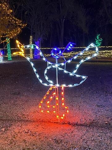 8' Twelve Days Of Christmas - Day 4 Holiday Light Display