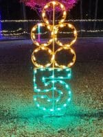 8' Twelve Days Of Christmas - Day 5 Holiday Light Display