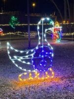 8' Twelve Days Of Christmas - Day 6 Holiday Light Display