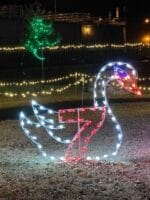 8' Twelve Days Of Christmas - Day 7 Holiday Light Display