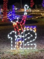 8' Twelve Days Of Christmas - Day 12 Holiday Light Display